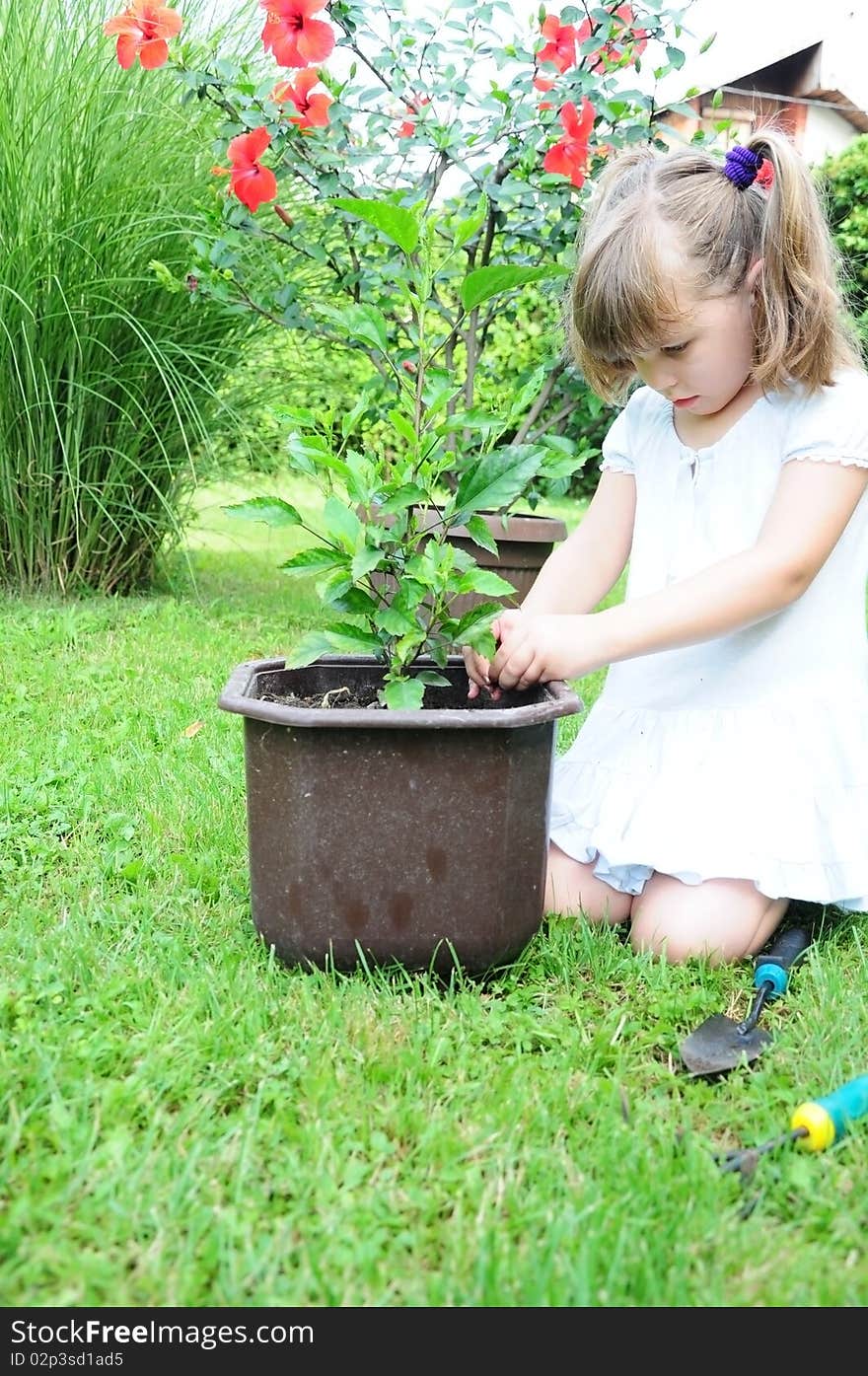 Girl Planting A Plant