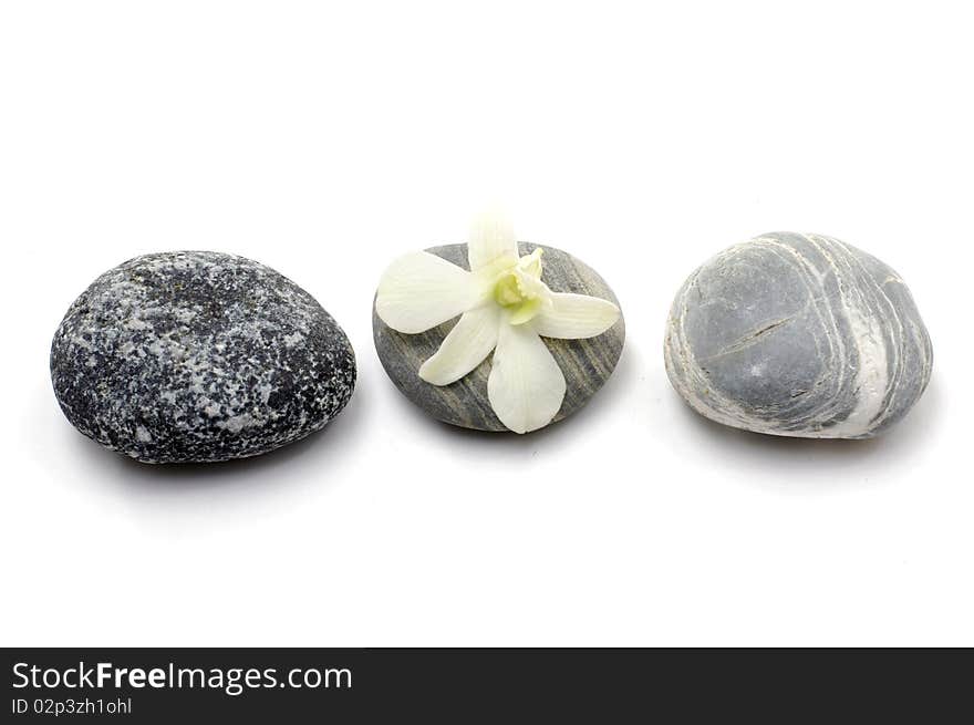 Row of zen stone with orchid. Row of zen stone with orchid