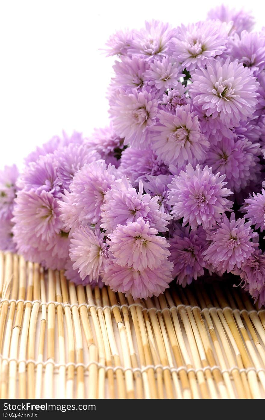 Pink chrysanthemums on bamboo mat