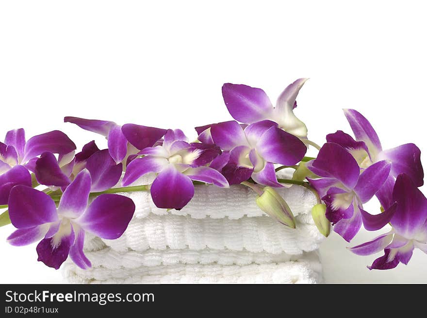 White towel and pink orchids flower. White towel and pink orchids flower