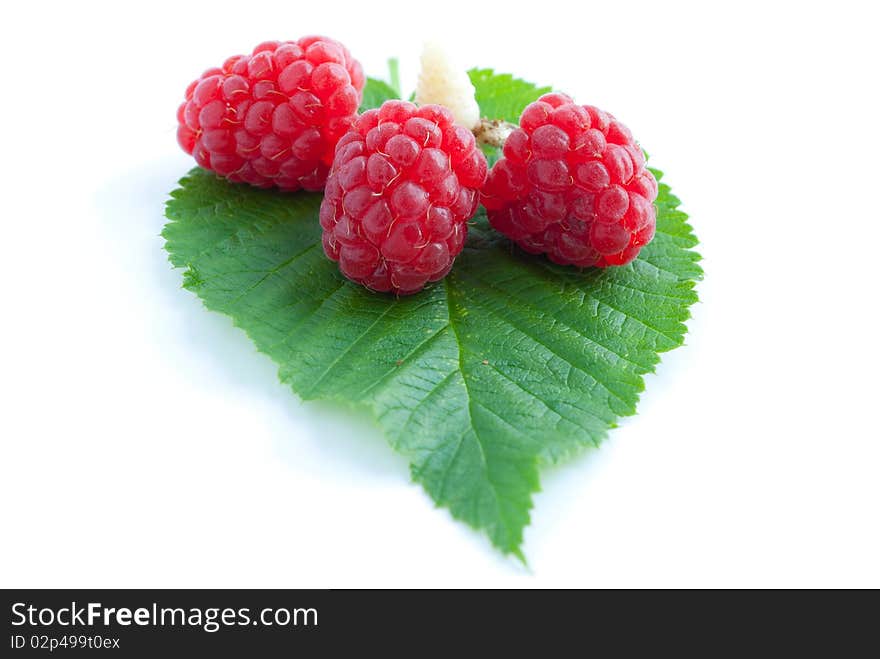 Raspberry With Leaves