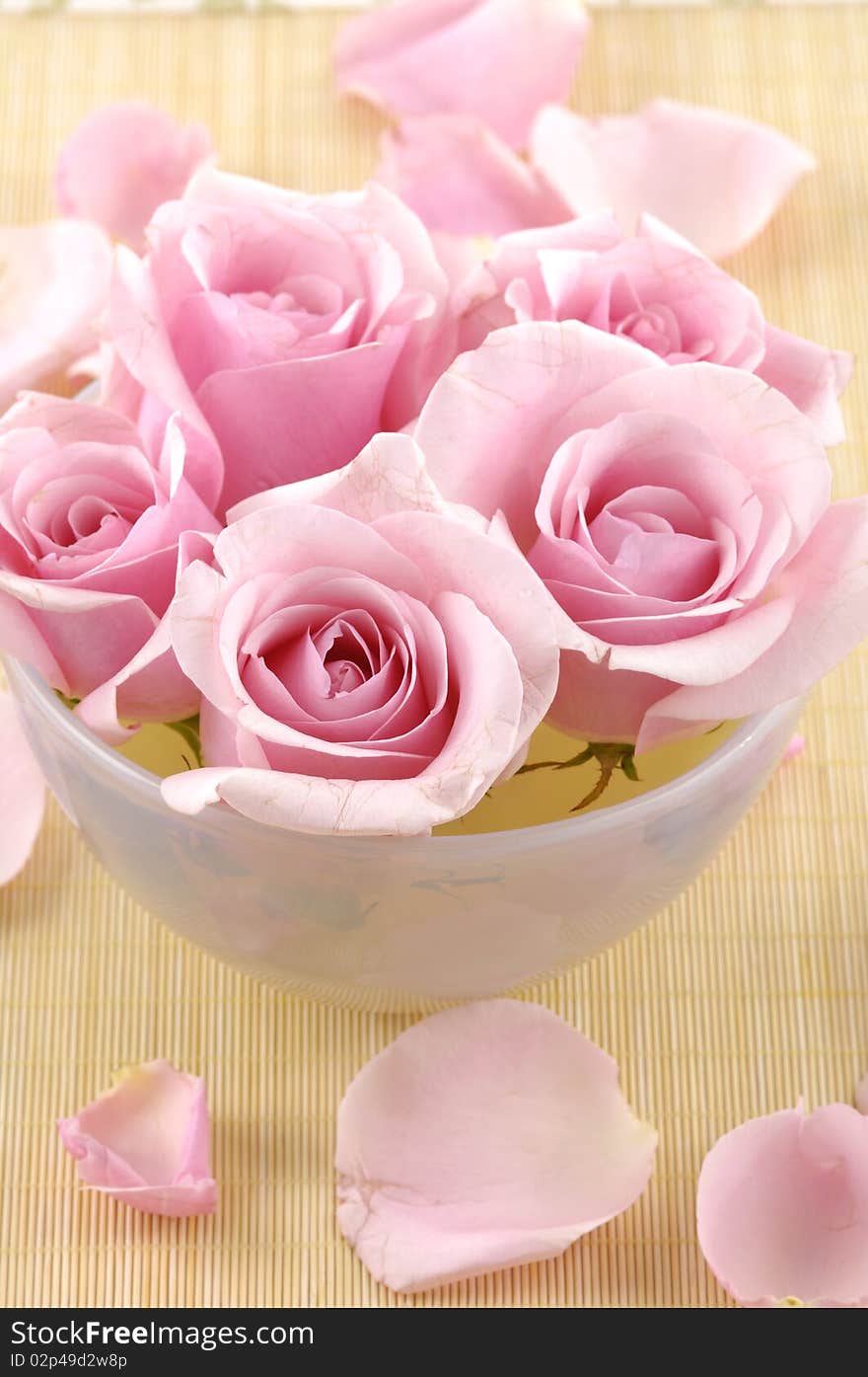 Beauty treatment-bowl of pink rose and petals. Beauty treatment-bowl of pink rose and petals