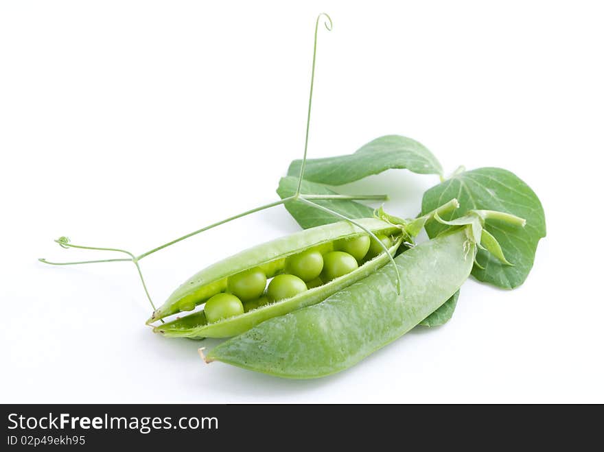 Fresh pea fruit with green leaf