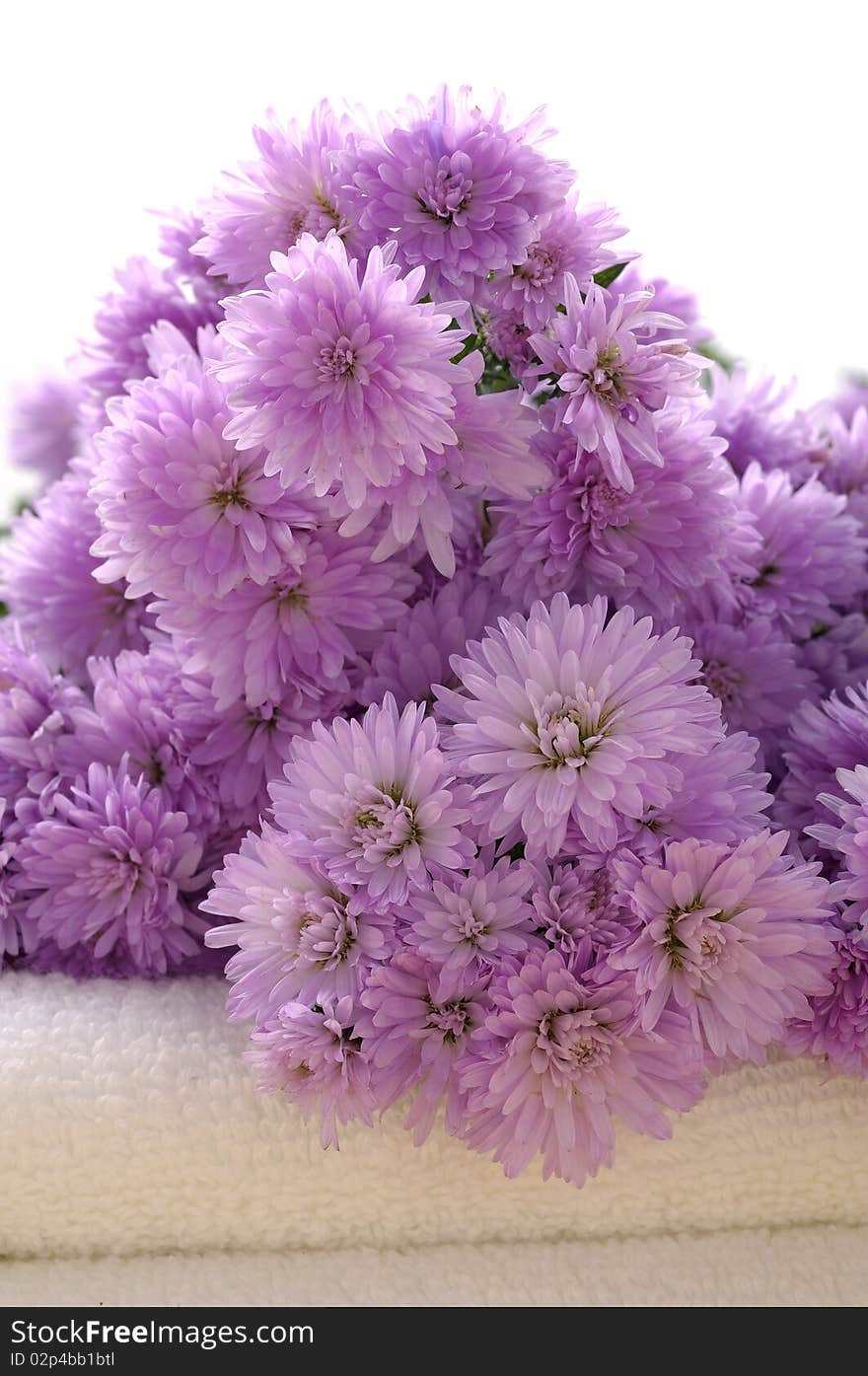 Towels and chrysanthemums isolated on white towel. Towels and chrysanthemums isolated on white towel