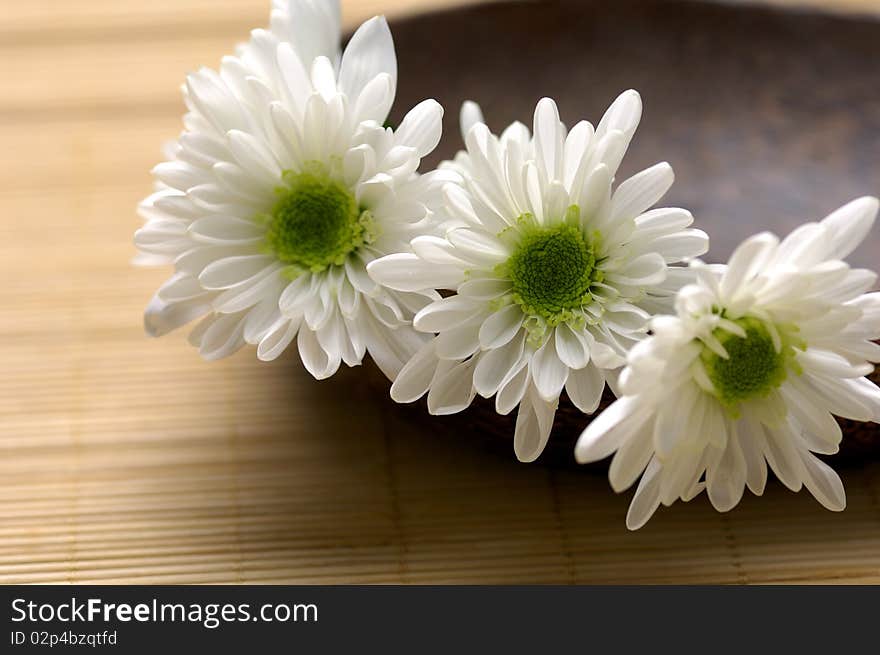 chrysanthemum flowers in bowl on bamboo mat. chrysanthemum flowers in bowl on bamboo mat