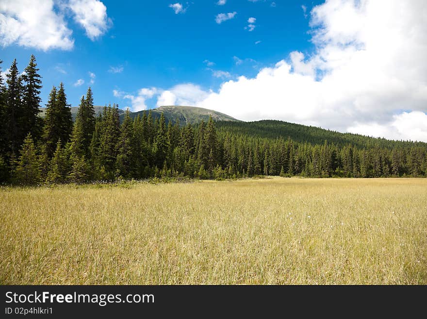 Beautiful summer landscape of a bog in Cindrel Mountains in Romania. Beautiful summer landscape of a bog in Cindrel Mountains in Romania.