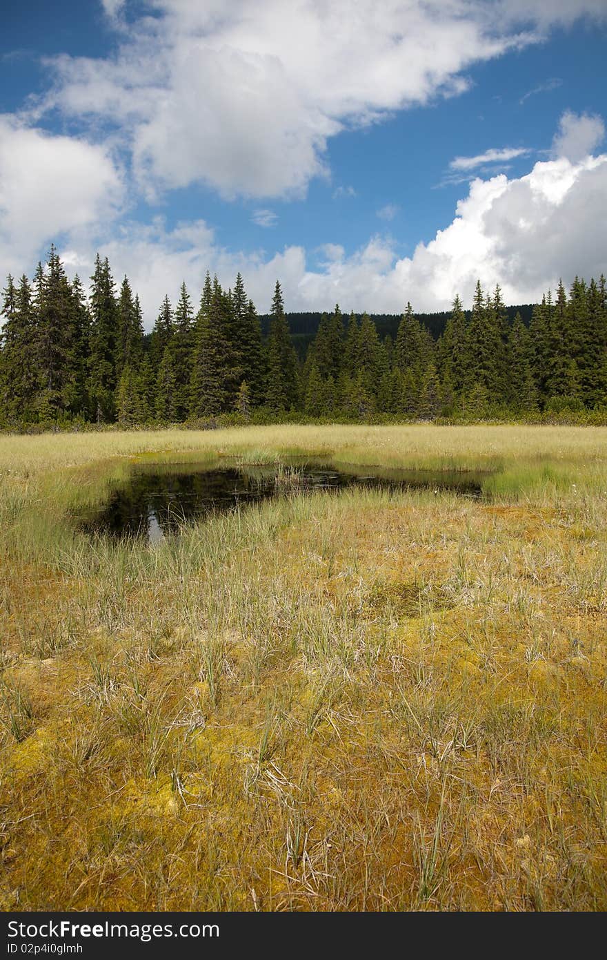 Beautiful summer landscape of a bog in Cindrel Mountains in Romania. Beautiful summer landscape of a bog in Cindrel Mountains in Romania.