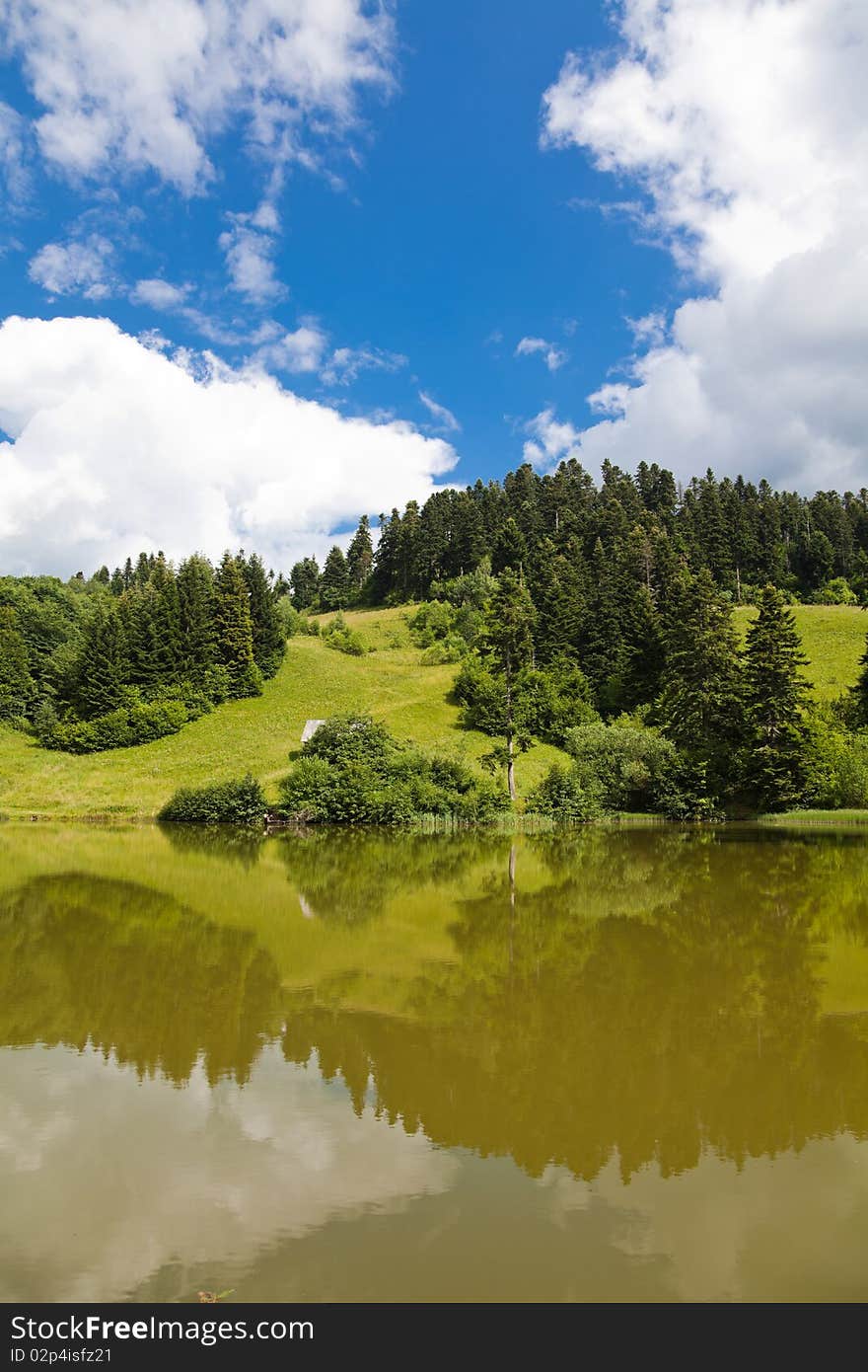 Summer landscape of Tau Brazi lake in Apuseni Mountains, Romania.