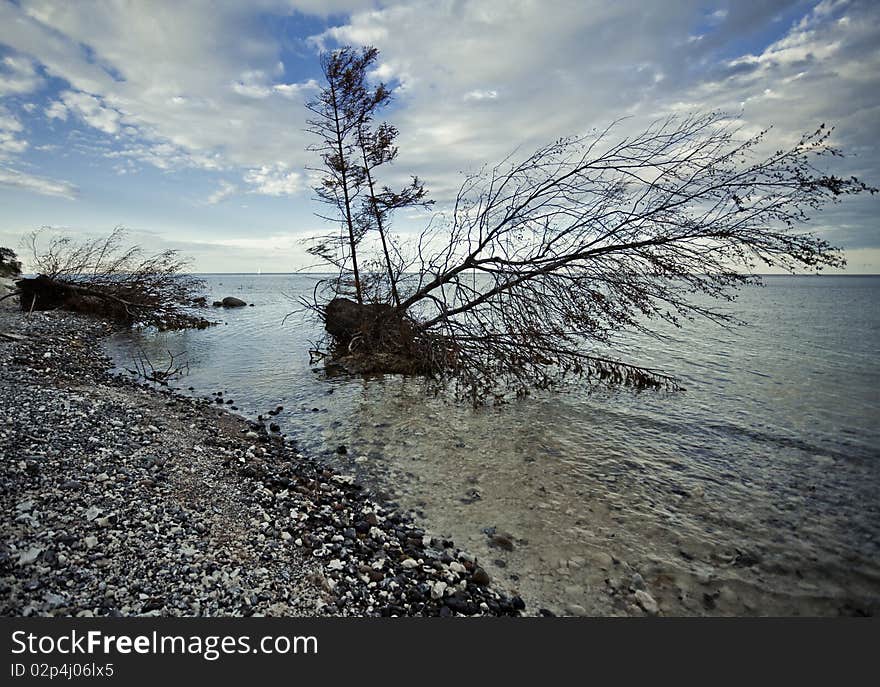 Rocky beach on the island of ruegen, germany. Rocky beach on the island of ruegen, germany