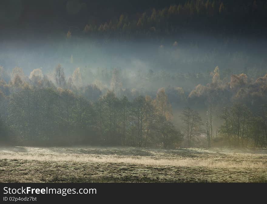 Early morning mist captured in scotland. Early morning mist captured in scotland