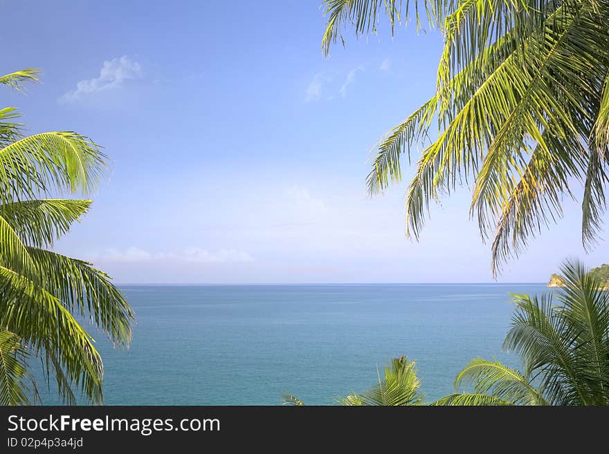 Fragment like View of nice tropical  coast with some palm. Fragment like View of nice tropical  coast with some palm