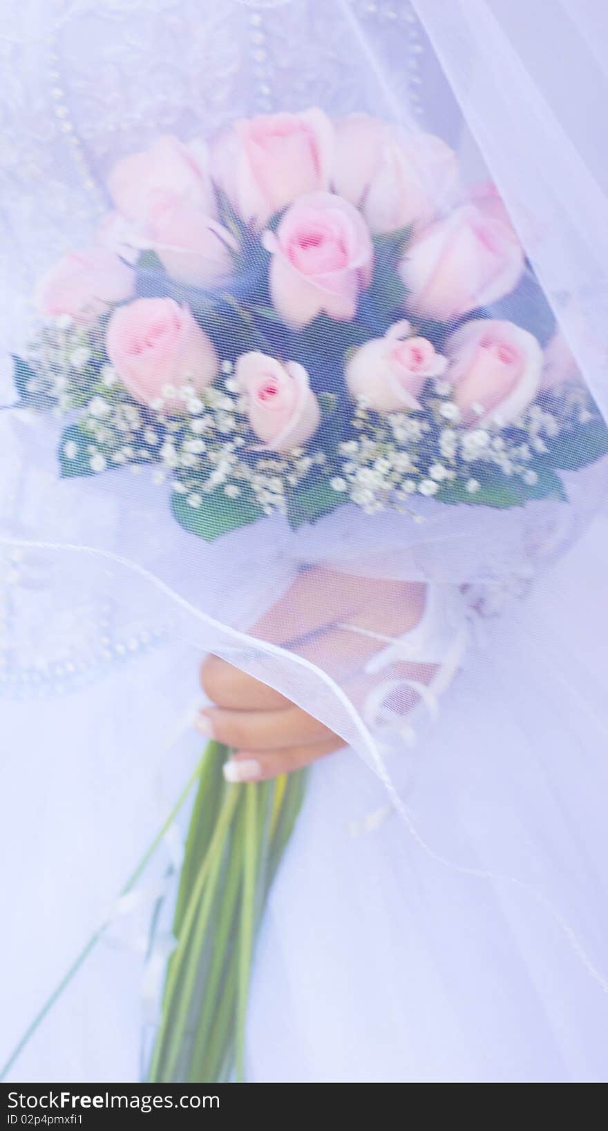 Gentle roses bouquet  under a white veil of the bride. Gentle roses bouquet  under a white veil of the bride