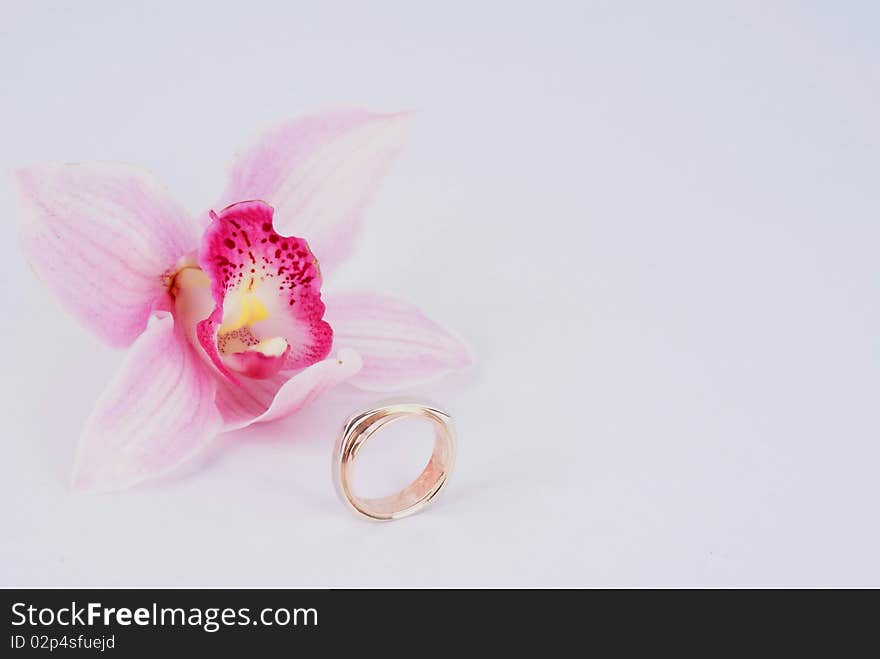 Wedding ring and flower on grey background