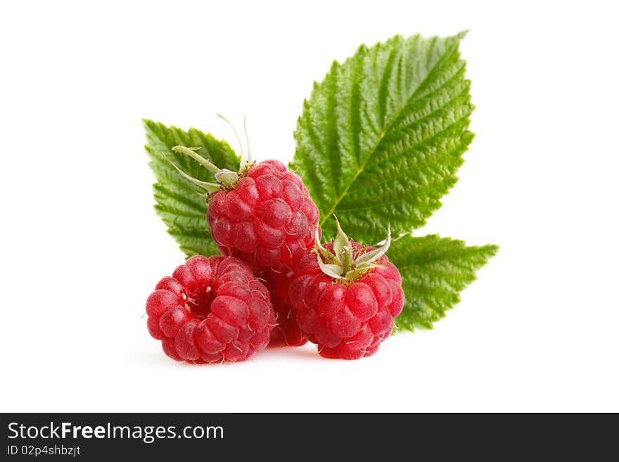 Raspberries