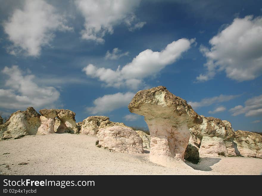 Stone Mushrooms