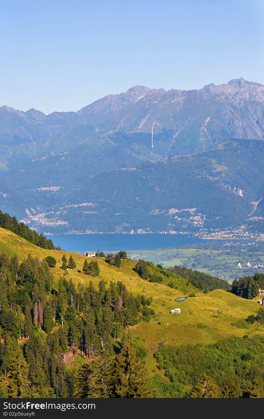 Trees in a meadow of mountain. Trees in a meadow of mountain