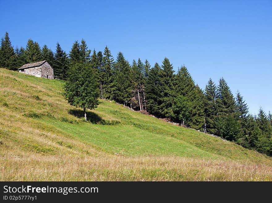 House in the meadow