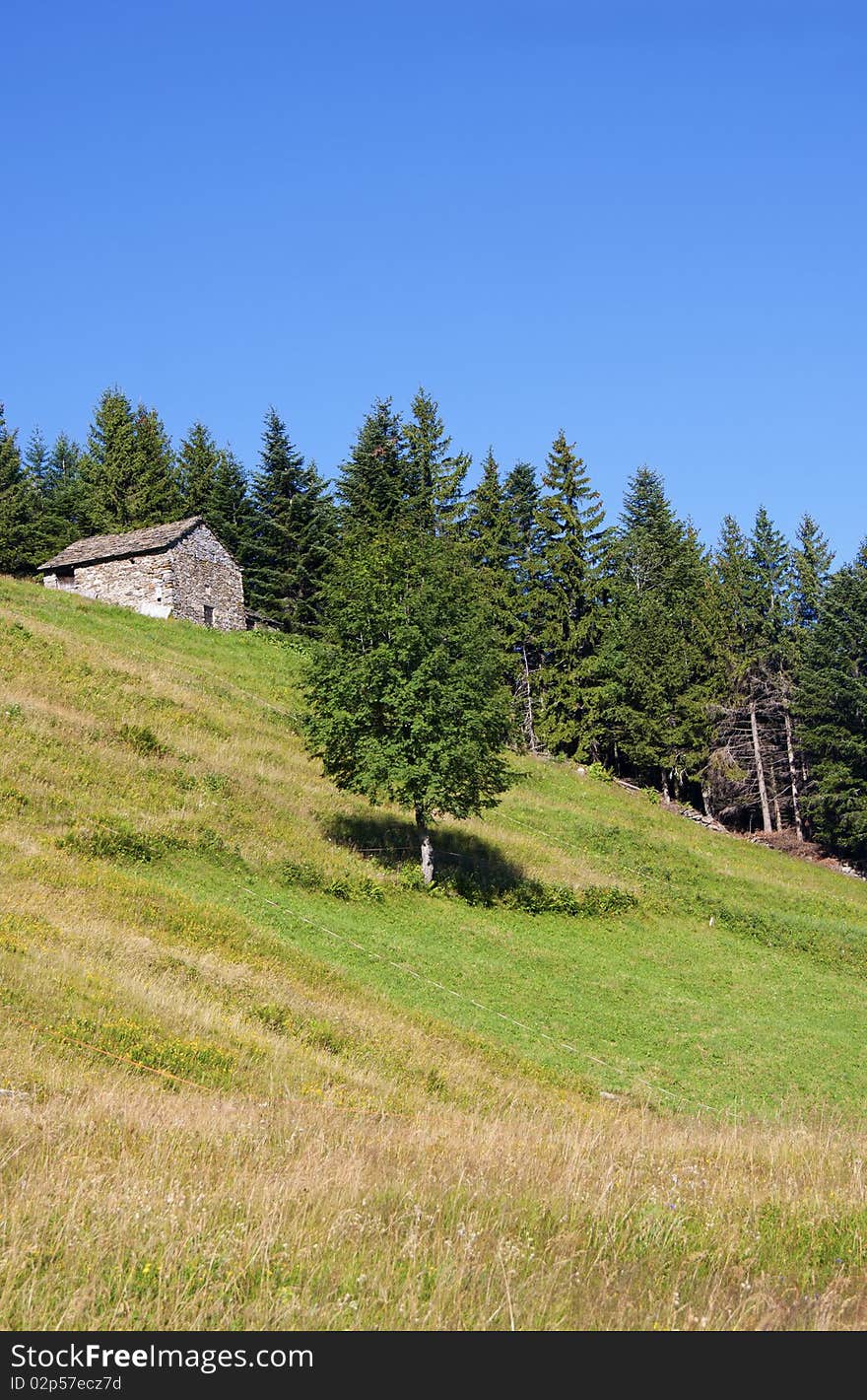 House in the meadow