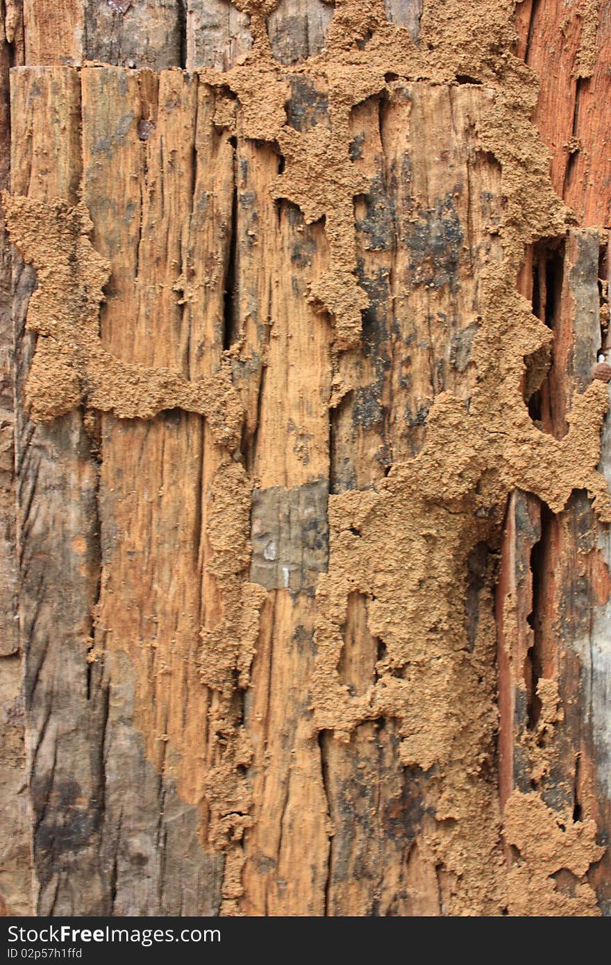 Walls made of wood with beautiful patterns. Walls made of wood with beautiful patterns