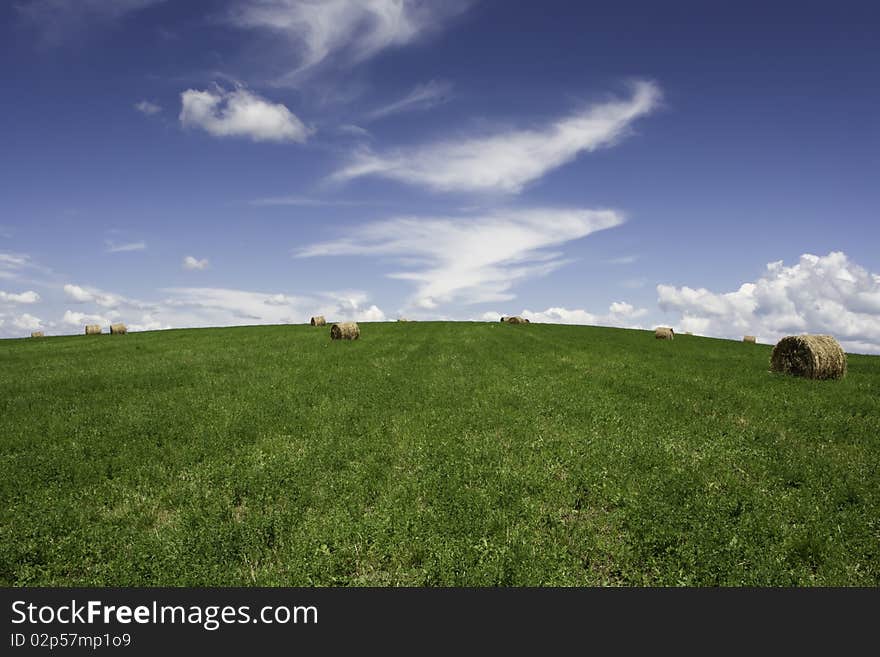 Bales on the green field