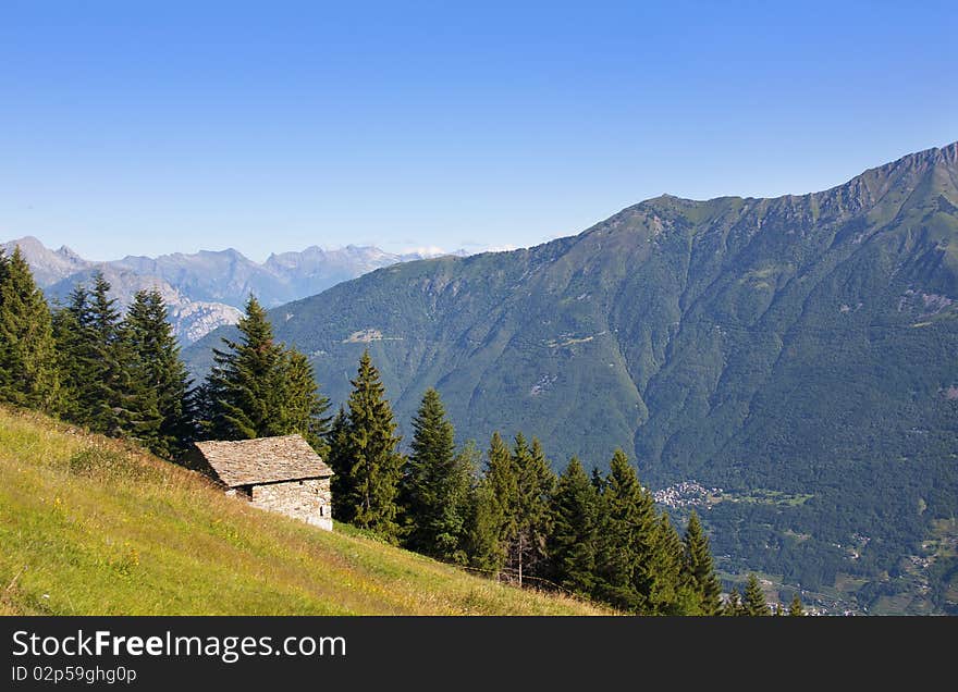 House In The Meadow