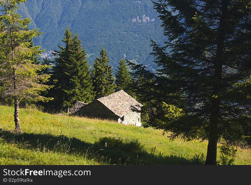 House In The Meadow