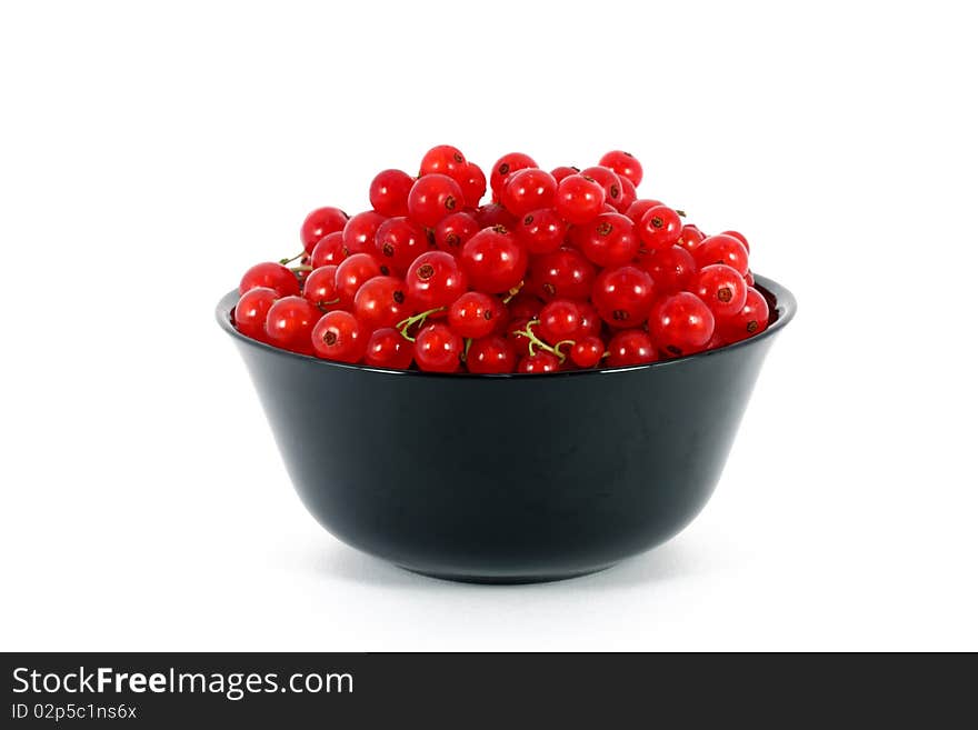 Red currants in black bowl, isolated on white