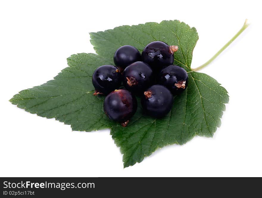 Black currant on a green leaf. Isolated on white background. Black currant on a green leaf. Isolated on white background