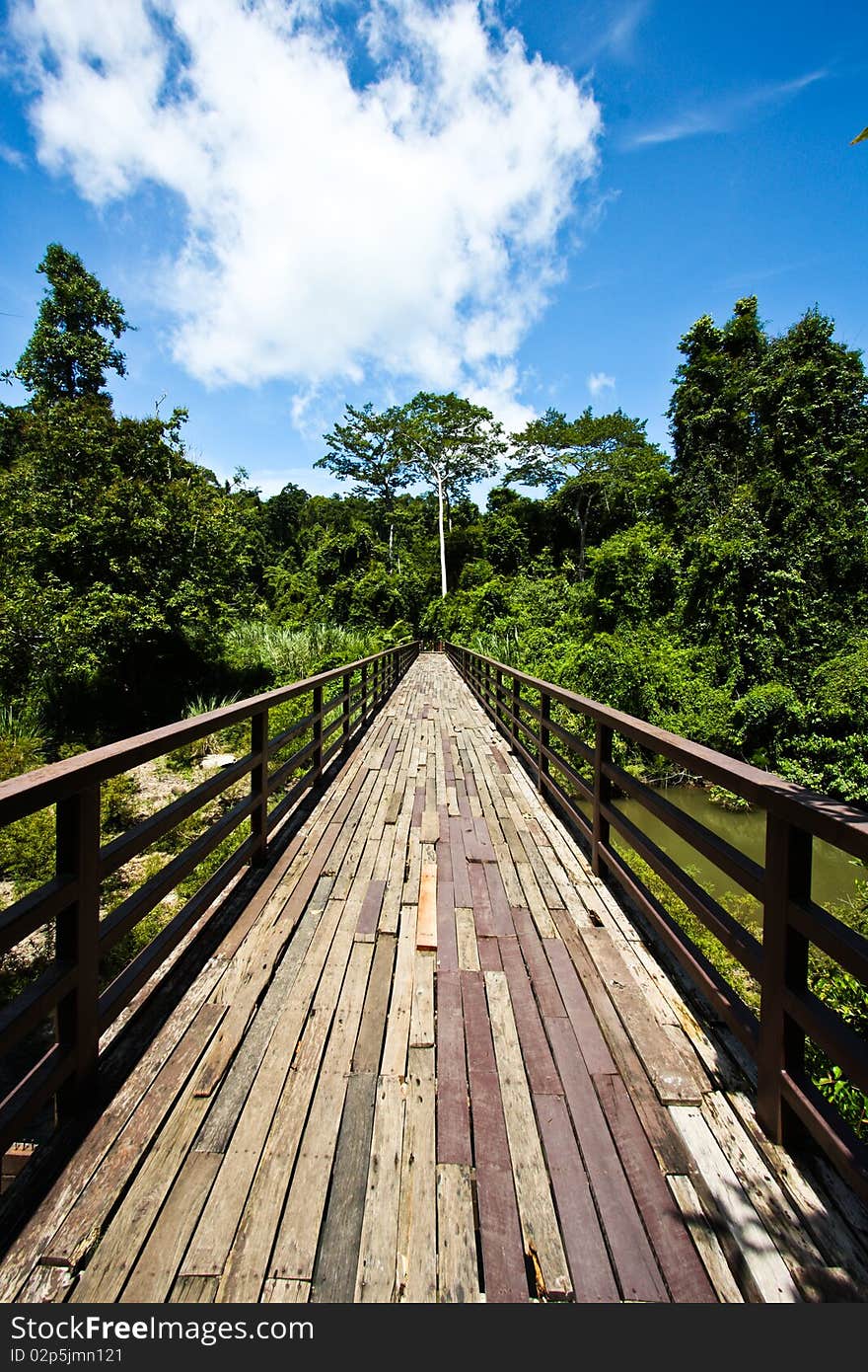 Wood bridge to jungle with Sky