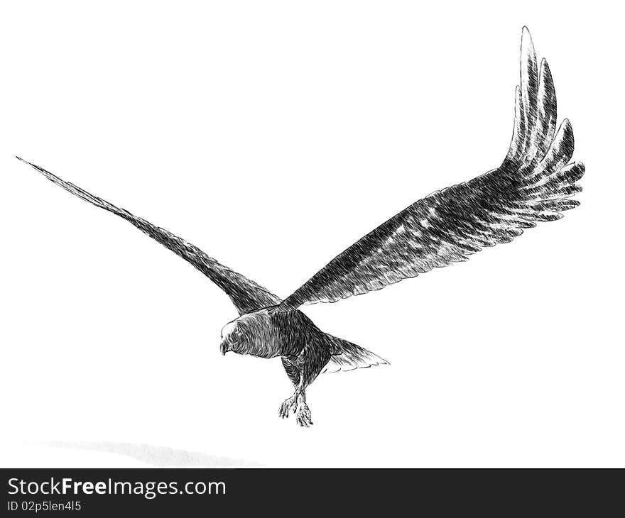 A 3D sketch render of a bald eagle in flight. A 3D sketch render of a bald eagle in flight.