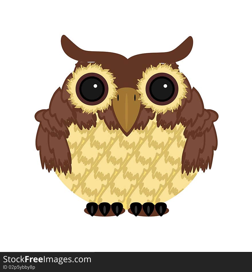 Owl on white background