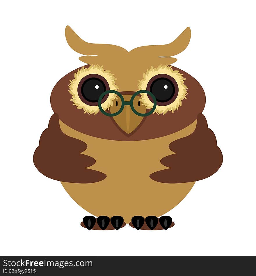 Nice owl on white background