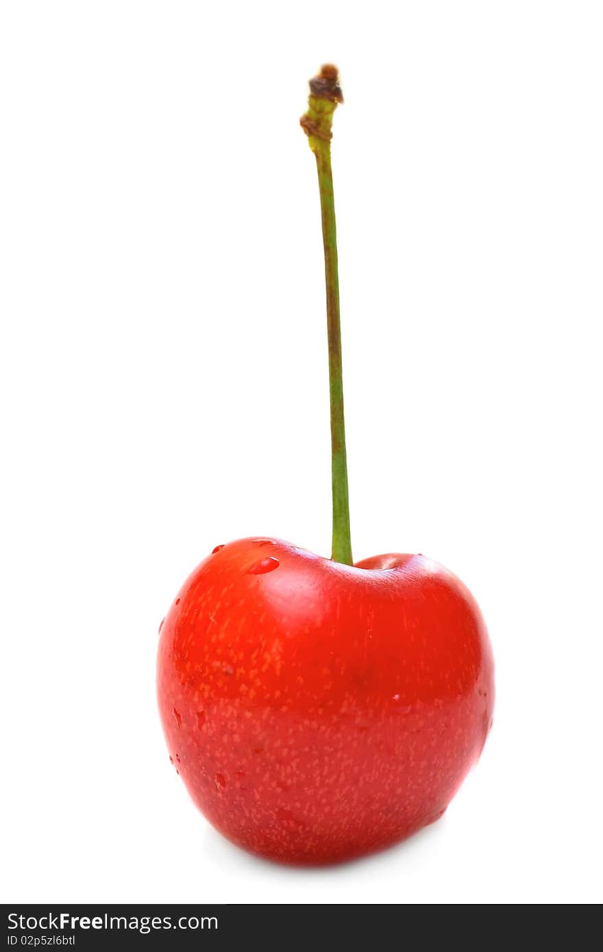 The fresh sweet cherry on white background