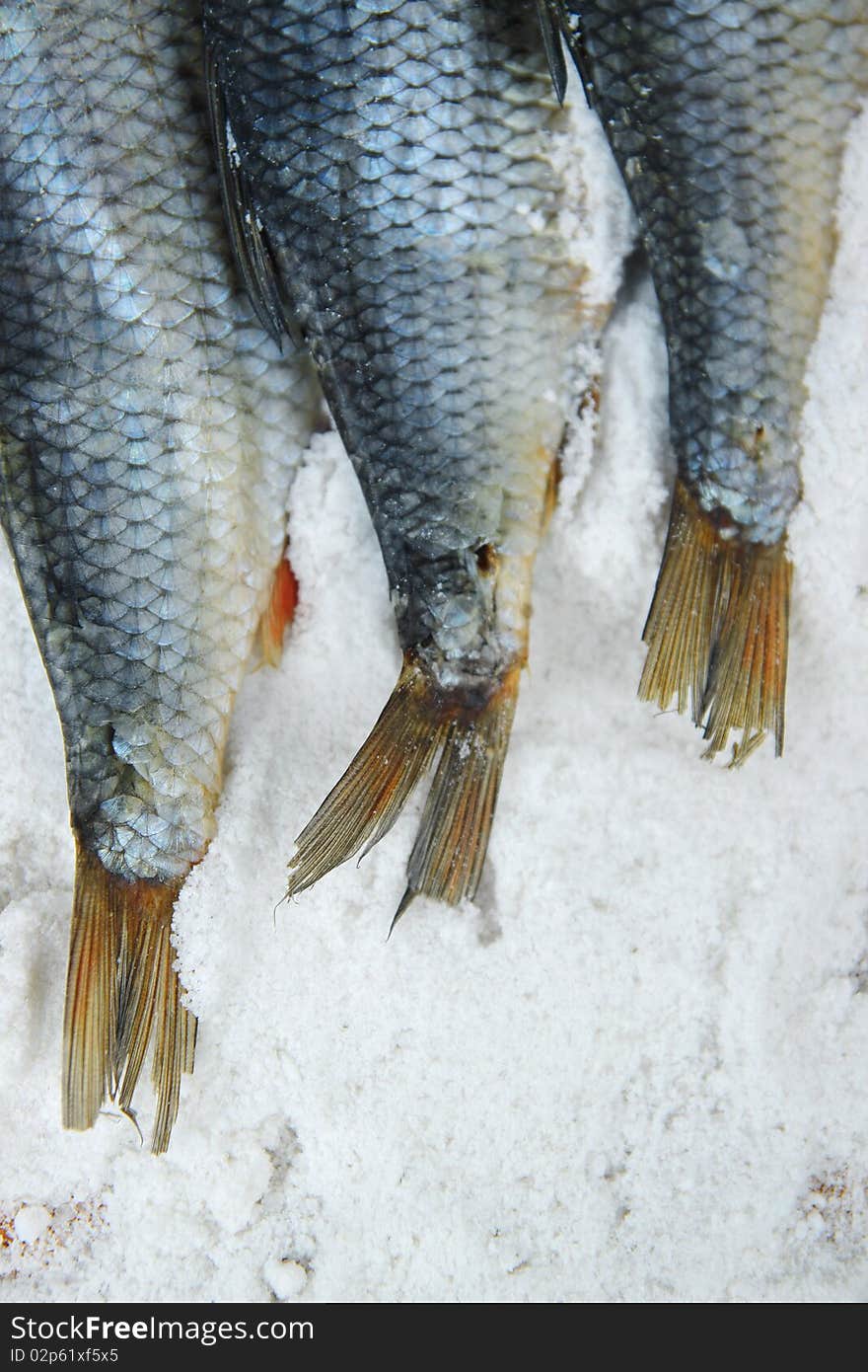 Sun-dried fish on a salt. Sun-dried fish on a salt