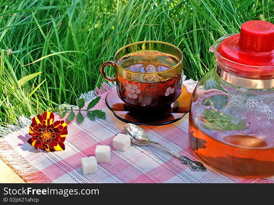 Beneficial hot tea tonic behavior and good slake thirst. Beneficial hot tea tonic behavior and good slake thirst