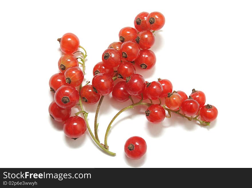 Three clusters of red currant and a single berry isolated on white background. Three clusters of red currant and a single berry isolated on white background