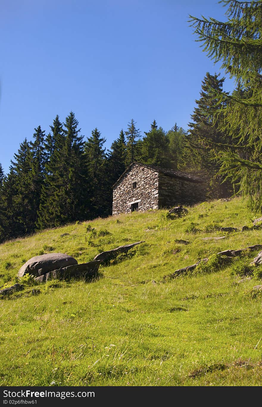 House In The Meadow