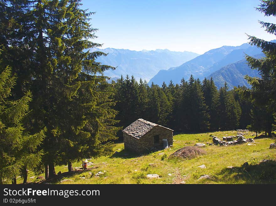 House in the meadow