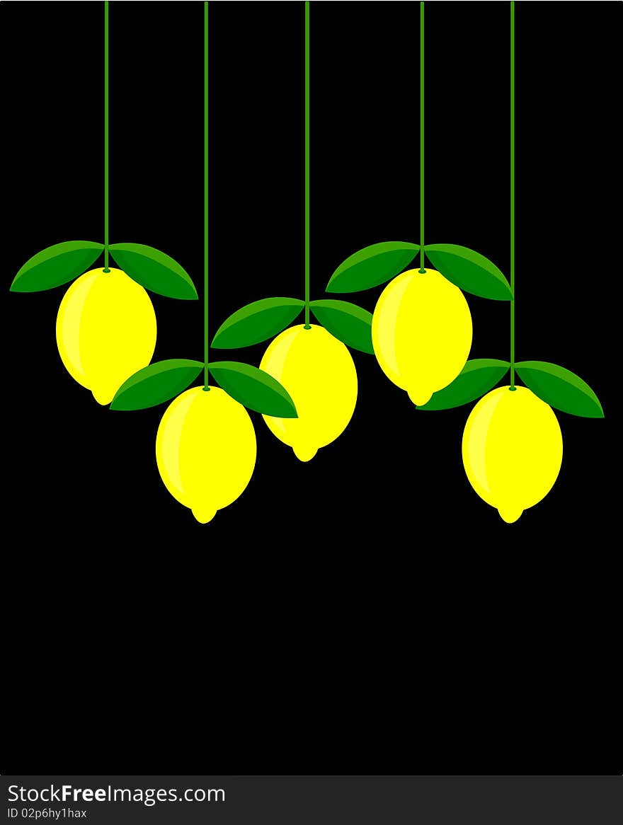 Lemons in group hanging over black background. Lemons in group hanging over black background