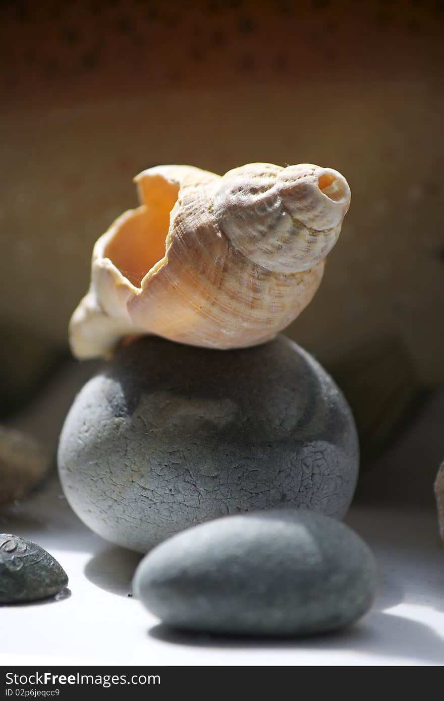 A broken sea shell perched on top of a grey beach pebble. set on a portrait format, with room for copy above image. A broken sea shell perched on top of a grey beach pebble. set on a portrait format, with room for copy above image.