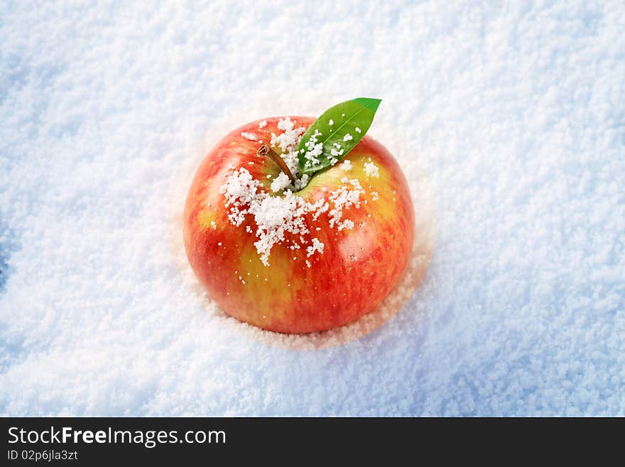 Fresh red apple in snow - closeup