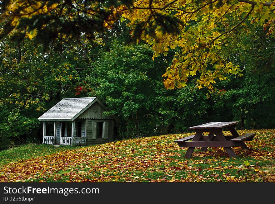 Various colors of Autumn leaves blanket the ground in the park.