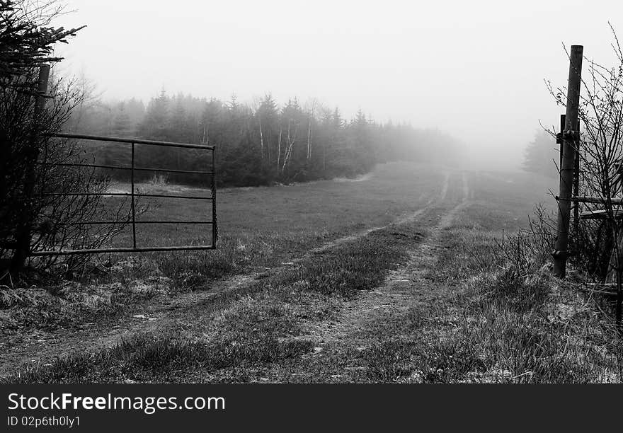 A seldom used road leads into the distant foggy horizon. A seldom used road leads into the distant foggy horizon.