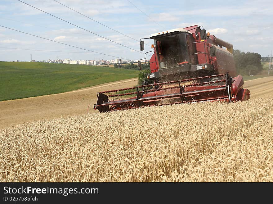 Combine working on a wheat field