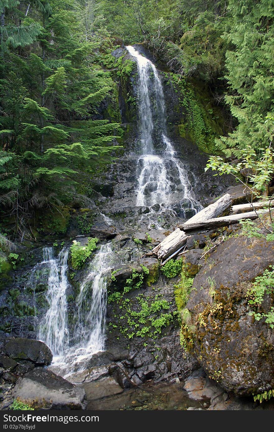 Picturesque water fall at the Mount Rainier National Park in Washington State. Picturesque water fall at the Mount Rainier National Park in Washington State