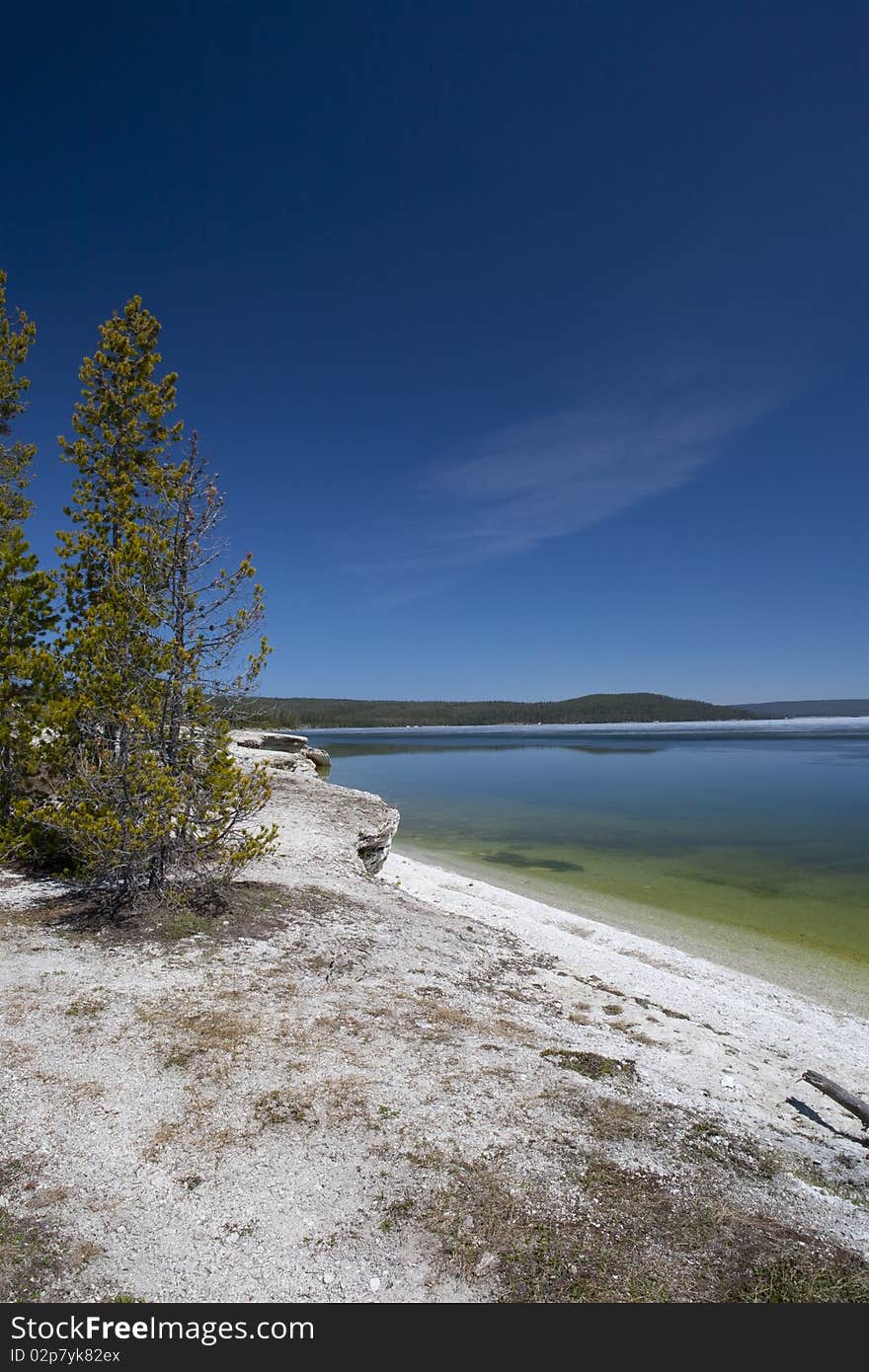 Shore of the lake Yellowstone in the National Park of the Yellowstone. Shore of the lake Yellowstone in the National Park of the Yellowstone