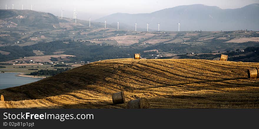 Fields cultivate to grain in campania italy. Fields cultivate to grain in campania italy