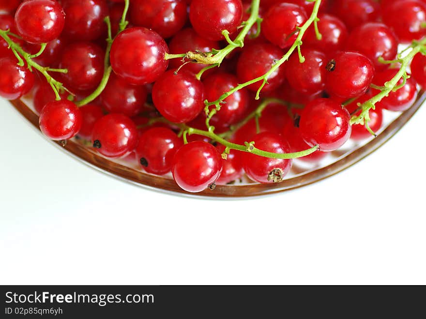 Red currants