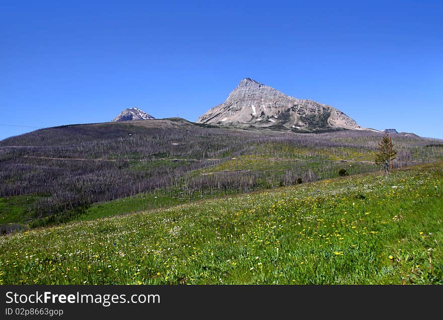 Glacier national park