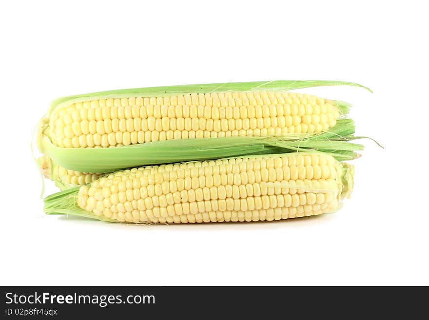 Corn Cob Sweetcorn